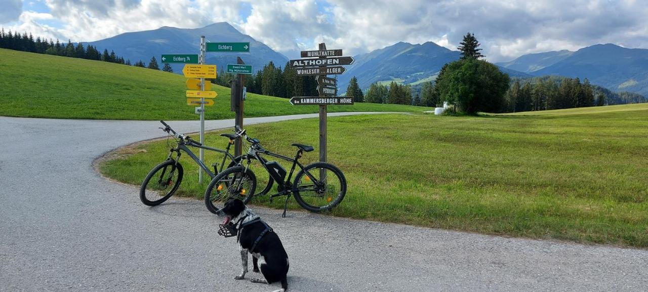 Camping Bella Austria Sankt Peter am Kammersberg المظهر الخارجي الصورة