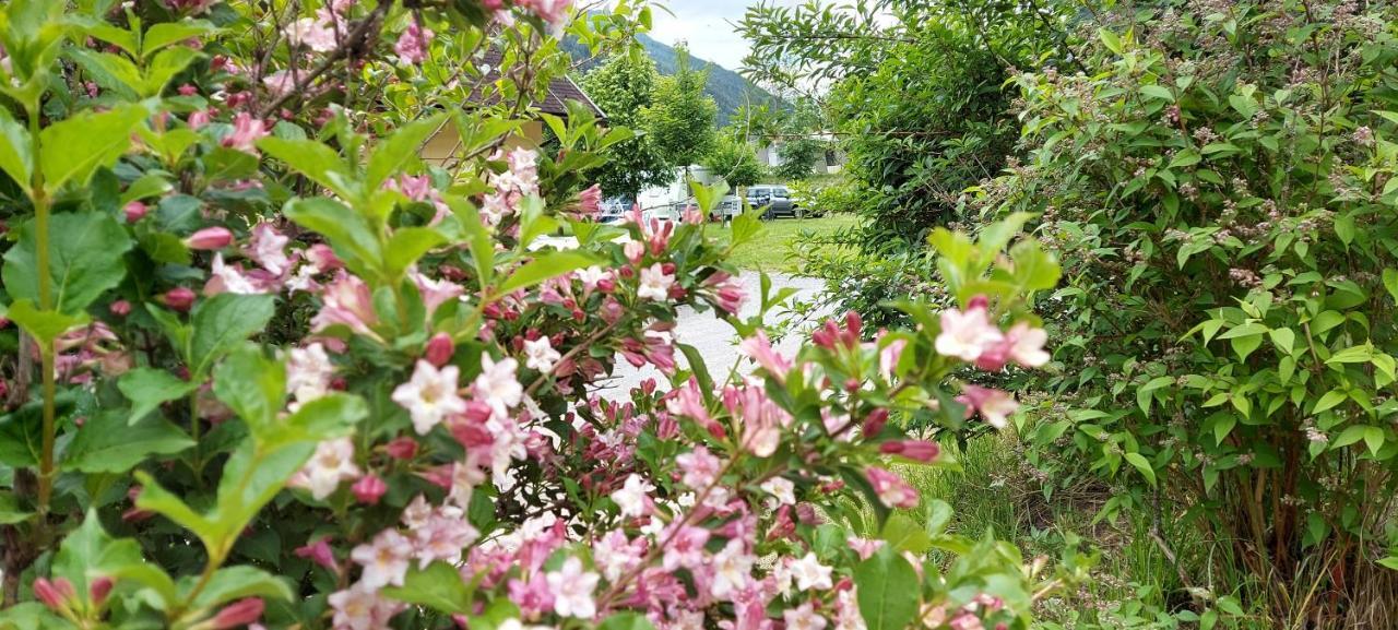 Camping Bella Austria Sankt Peter am Kammersberg المظهر الخارجي الصورة
