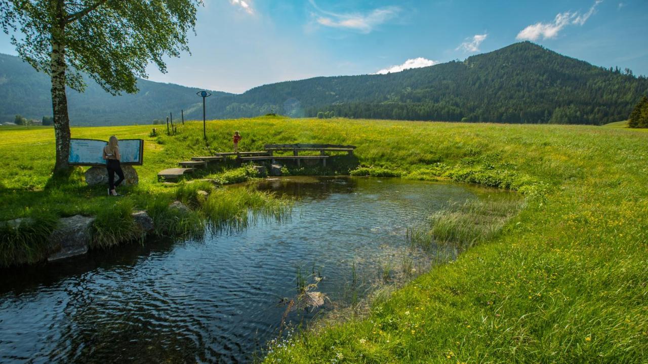 Camping Bella Austria Sankt Peter am Kammersberg المظهر الخارجي الصورة