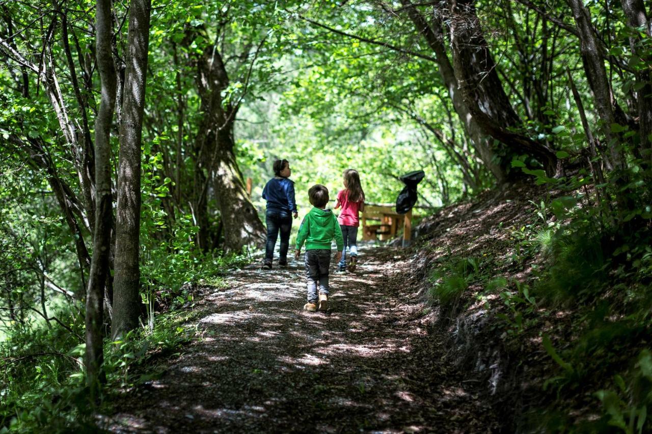 Camping Bella Austria Sankt Peter am Kammersberg المظهر الخارجي الصورة